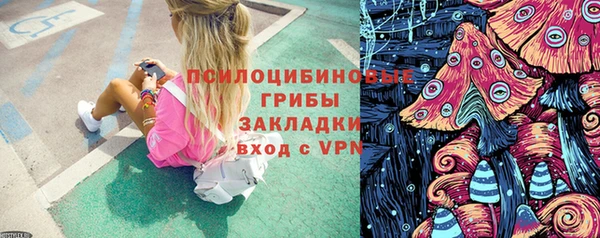 mdpv Елабуга