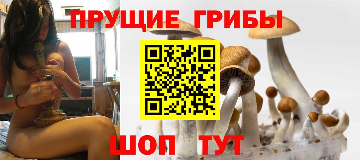 Галлюциногенные грибы GOLDEN TEACHER  Вход с VPN  Кушва  Псилоцибиновые грибы прущие грибы 