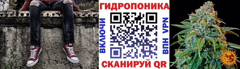 МАРИХУАНА сатива Кушва